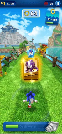 Sonic Dash - Endless Running screenshot