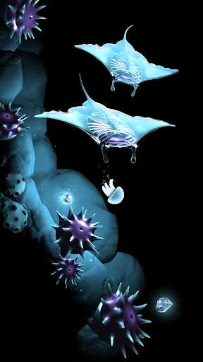 Seashine screenshot